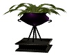Elegant Fern Purple Pot