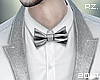 rz. Silver Suit 2017