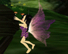 Fairy Magic Harp anim.
