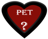{P} Looking For A Pet ?