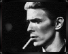 :Neu: Bowie Poster