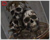 Skull Terrarium