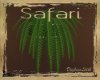 Safari Plant 2