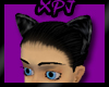 Black Knk Cat Ears