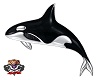 KYD - Orca de Ivette
