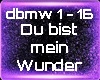 Du bist mein Wunder e