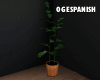 A Quiet Space - Plant