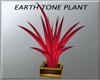Earth Tone Plant
