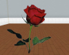 red rose enhancer