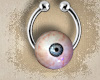 ✔ Eyeball septum