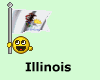 Illinois flag smiley