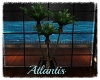 ~SB Atlantis Potted Plnt