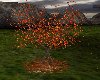 Tree - Autumn
