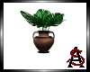 Vase w/ plant