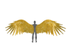 -DS- goldon wings