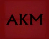 [AKM] NAMED NECKLACES F