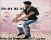Ride Dolphin Toy+ sound