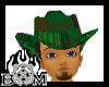 !S! Plaid Cowboy Hat