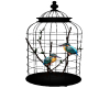 ~M~ Bird Cage