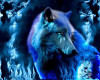 (A) Lobo Wolf Dub light