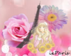 Fleurs de Paris