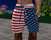 4TH OF JULY SHORTS