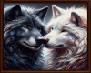 6v3| 🐺🐺