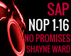 NO PROMISES SHAYNE WARD