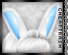+ Blue Bunny Ears