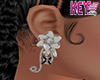 K* Winteria Earring