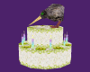 Kiwi Birthday Cake