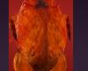 Roasted Chicken Flames Fire Costumes Halloween Funny Turkeys