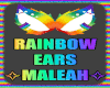 ✧ Rainbow Ears ✧