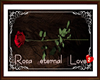 Rosa eternal Love nº 2