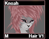 Knoah Hair M V1