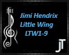 Little Wing