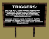 {SINs} TriggerBoard
