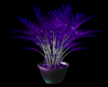 Neon Plant
