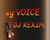 EY voice DJ Remix
