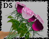 [DS] pink rose