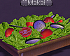 Salad - healthy