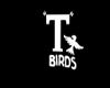 AN-T-Bird Background-M