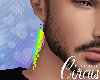 C` Rainbow Flame Earring