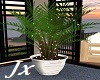 Jx Potted plant w/Lights