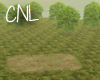 [CNL] Arena Forest