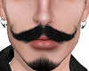 vk. moustache-asteri