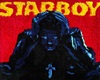 Starboy Carpet