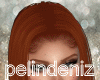 [P] Thesha ginger