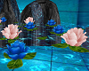 Lotus Rose et bleu