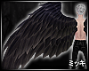 ! Dark Feather Wing II